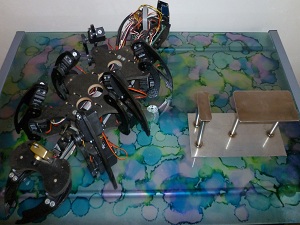 hexapod robot 04